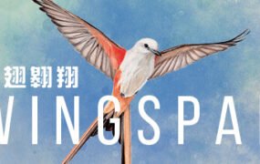 展翅翱翔/WINGSPAN(更新大洋洲篇DLC v04.01.2024)